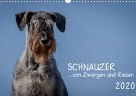 Janz |  Schnauzer... von Zwergen und Riesen 2020 (Wandkalender 2020 DIN A3 quer) | Sonstiges |  Sack Fachmedien
