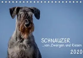Janz |  Schnauzer... von Zwergen und Riesen 2020 (Tischkalender 2020 DIN A5 quer) | Sonstiges |  Sack Fachmedien
