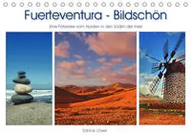 Löwer |  Fuerteventura - Bildschön (Tischkalender 2020 DIN A5 quer) | Sonstiges |  Sack Fachmedien