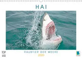 Calvendo / CALVENDO |  Hai: Raubtier der Meere (Wandkalender 2020 DIN A3 quer) | Sonstiges |  Sack Fachmedien