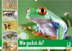 Calvendo / CALVENDO |  Wie guckst du? Tierische Augenblicke (Wandkalender 2020 DIN A2 quer) | Sonstiges |  Sack Fachmedien