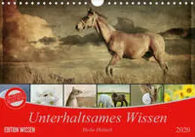 Hultsch |  Unterhaltsames Wissen (Wandkalender 2020 DIN A4 quer) | Sonstiges |  Sack Fachmedien