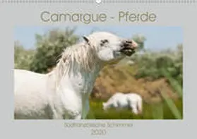 Bölts |  Camargue-Pferde - Südfranzösische Schimmel (Wandkalender 2020 DIN A2 quer) | Sonstiges |  Sack Fachmedien