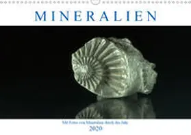 Eckert |  Mineralien (Wandkalender 2020 DIN A3 quer) | Sonstiges |  Sack Fachmedien