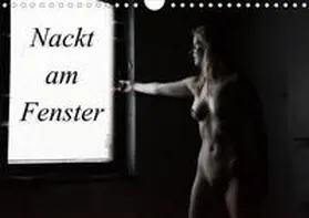Lee |  Nackt am Fenster (Wandkalender 2020 DIN A4 quer) | Sonstiges |  Sack Fachmedien