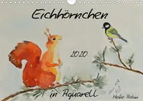 Adam | Eichhörnchen in Aquarell (Wandkalender 2020 DIN A4 quer) | Sonstiges | 978-3-670-92729-7 | www.sack.de