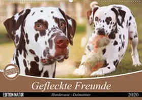 Mielewczyk |  Gefleckte Freunde - Hunderasse Dalmatiner (Wandkalender 2020 DIN A2 quer) | Sonstiges |  Sack Fachmedien