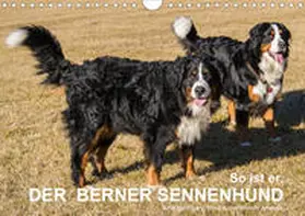 Hunscheidt |  So ist er. Der Berner Sennenhund (Wandkalender 2020 DIN A4 quer) | Sonstiges |  Sack Fachmedien