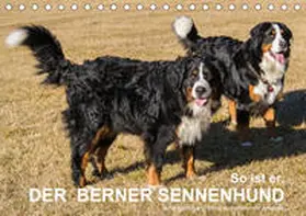 Hunscheidt |  So ist er. Der Berner Sennenhund (Tischkalender 2020 DIN A5 quer) | Sonstiges |  Sack Fachmedien