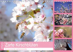 Hackstein | Zarte Kirschblüten - Berauschende Gedankendüfte (Wandkalender 2020 DIN A4 quer) | Sonstiges | 978-3-670-94442-3 | www.sack.de