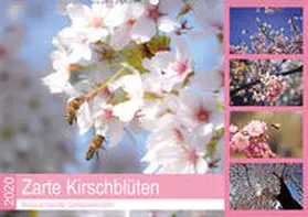 Hackstein | Zarte Kirschblüten - Berauschende Gedankendüfte (Wandkalender 2020 DIN A2 quer) | Sonstiges | 978-3-670-94444-7 | www.sack.de