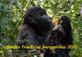 Krause |  Ugandas friedliche Berggorillas (Wandkalender 2020 DIN A2 quer) | Sonstiges |  Sack Fachmedien