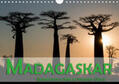 Pohl |  Madagaskar - Geheimnisvolle Insel im Indischen Ozean (Wandkalender 2020 DIN A4 quer) | Sonstiges |  Sack Fachmedien