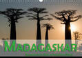 Pohl |  Madagaskar - Geheimnisvolle Insel im Indischen Ozean (Wandkalender 2020 DIN A3 quer) | Sonstiges |  Sack Fachmedien