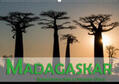 Pohl |  Madagaskar - Geheimnisvolle Insel im Indischen Ozean (Wandkalender 2020 DIN A2 quer) | Sonstiges |  Sack Fachmedien