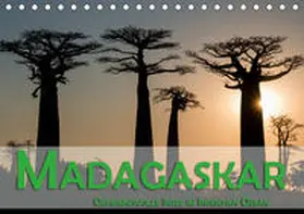Pohl |  Madagaskar - Geheimnisvolle Insel im Indischen Ozean (Tischkalender 2020 DIN A5 quer) | Sonstiges |  Sack Fachmedien