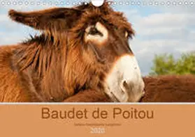 Bölts |  Baudet de Poitou - Seltene französische Langohren (Wandkalender 2020 DIN A4 quer) | Sonstiges |  Sack Fachmedien