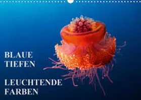 Adler |  Blaue Tiefen - Leuchtende Farben (Wandkalender 2020 DIN A3 quer) | Sonstiges |  Sack Fachmedien