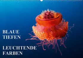 Adler |  Blaue Tiefen - Leuchtende Farben (Wandkalender 2020 DIN A2 quer) | Sonstiges |  Sack Fachmedien