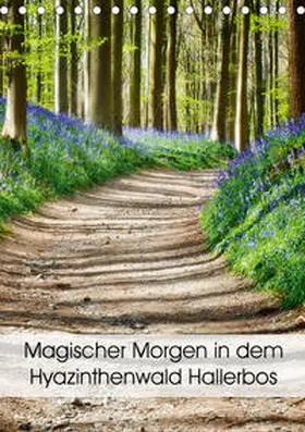 Patrick |  Magischer Morgen in dem Hyazinthenwald Hallerbos (Tischkalender 2020 DIN A5 hoch) | Sonstiges |  Sack Fachmedien
