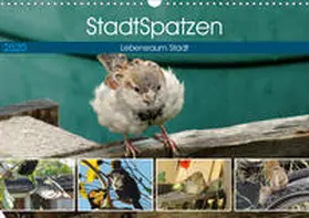 Schilling |  StadtSpatzen (Wandkalender 2020 DIN A3 quer) | Sonstiges |  Sack Fachmedien