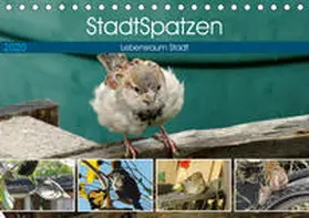 Schilling |  StadtSpatzen (Tischkalender 2020 DIN A5 quer) | Sonstiges |  Sack Fachmedien