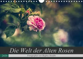 Steudte |  Die Welt der Alten Rosen (Wandkalender 2020 DIN A4 quer) | Sonstiges |  Sack Fachmedien