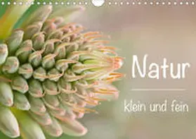 Busse |  Natur klein und fein (Wandkalender 2020 DIN A4 quer) | Sonstiges |  Sack Fachmedien