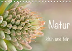 Busse |  Natur klein und fein (Tischkalender 2020 DIN A5 quer) | Sonstiges |  Sack Fachmedien