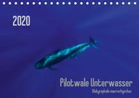 Weber-Gebert | Pilotwale Unterwasser - Globicephala macrorhynchus (Tischkalender 2020 DIN A5 quer) | Sonstiges | 978-3-670-96637-1 | www.sack.de