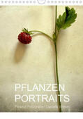 Weber |  Pflanzenportraits FineArt Fotografie Daniela Weber (Wandkalender 2020 DIN A4 hoch) | Sonstiges |  Sack Fachmedien