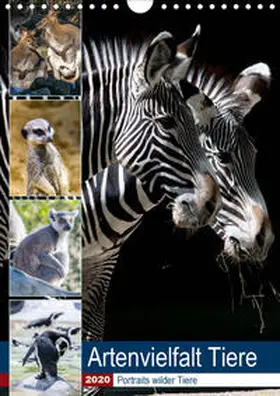 Sigwarth |  Artenvielfalt Tiere (Wandkalender 2020 DIN A4 hoch) | Sonstiges |  Sack Fachmedien