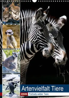 Sigwarth |  Artenvielfalt Tiere (Wandkalender 2020 DIN A3 hoch) | Sonstiges |  Sack Fachmedien