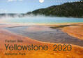Zimmermann |  Farben des Yellowstone National Park 2020 (Wandkalender 2020 DIN A4 quer) | Sonstiges |  Sack Fachmedien