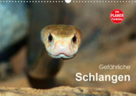 Herzog | Gefährliche Schlangen (Wandkalender 2020 DIN A3 quer) | Sonstiges | sack.de