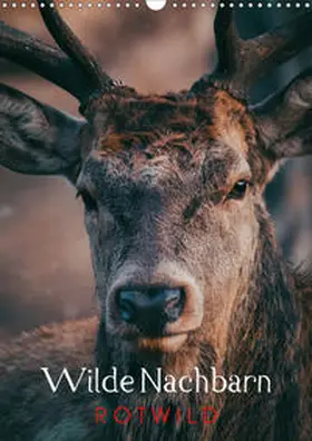 Payne |  Wilde Nachbarn: Rotwild (Wandkalender 2020 DIN A3 hoch) | Sonstiges |  Sack Fachmedien