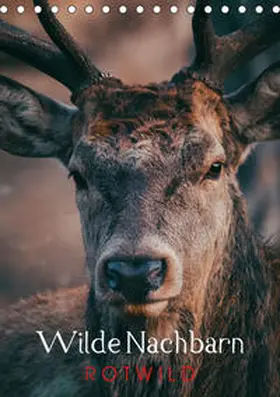 Payne |  Wilde Nachbarn: Rotwild (Tischkalender 2020 DIN A5 hoch) | Sonstiges |  Sack Fachmedien