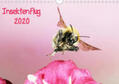 Schmidt |  Insektenflug 2020 (Wandkalender 2020 DIN A4 quer) | Sonstiges |  Sack Fachmedien