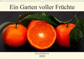 Brack | Ein Garten voller Früchte (Wandkalender 2020 DIN A3 quer) | Sonstiges | 978-3-670-97618-9 | www.sack.de