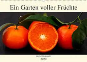 Brack |  Ein Garten voller Früchte (Wandkalender 2020 DIN A2 quer) | Sonstiges |  Sack Fachmedien