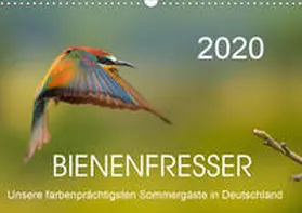 Will |  Bienenfresser, unsere farbenprächtigsten Sommergäste in Deutschland (Wandkalender 2020 DIN A3 quer) | Sonstiges |  Sack Fachmedien