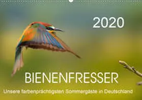 Will |  Bienenfresser, unsere farbenprächtigsten Sommergäste in Deutschland (Wandkalender 2020 DIN A2 quer) | Sonstiges |  Sack Fachmedien