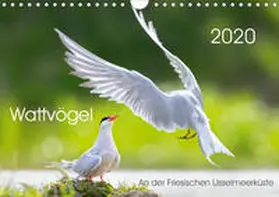 Will |  Wattvögel an der Friesischen IJsselmeerküste (Wandkalender 2020 DIN A4 quer) | Sonstiges |  Sack Fachmedien