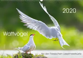 Will |  Wattvögel an der Friesischen IJsselmeerküste (Wandkalender 2020 DIN A2 quer) | Sonstiges |  Sack Fachmedien