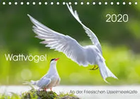 Will |  Wattvögel an der Friesischen IJsselmeerküste (Tischkalender 2020 DIN A5 quer) | Sonstiges |  Sack Fachmedien