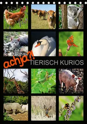 Löwer |  achja?! TIERISCH KURIOS (Tischkalender 2020 DIN A5 hoch) | Sonstiges |  Sack Fachmedien