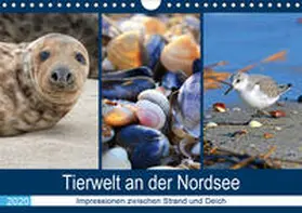 Lehmann (Hrsg.) |  Tierwelt an der Nordsee 2020 (Wandkalender 2020 DIN A4 quer) | Sonstiges |  Sack Fachmedien