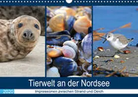 Lehmann (Hrsg.) |  Tierwelt an der Nordsee 2020 (Wandkalender 2020 DIN A3 quer) | Sonstiges |  Sack Fachmedien