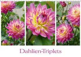 B-B Müller |  Dahlien-Triplets (Wandkalender 2020 DIN A3 quer) | Sonstiges |  Sack Fachmedien