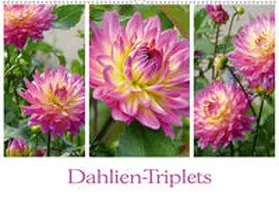 B-B Müller |  Dahlien-Triplets (Wandkalender 2020 DIN A2 quer) | Sonstiges |  Sack Fachmedien